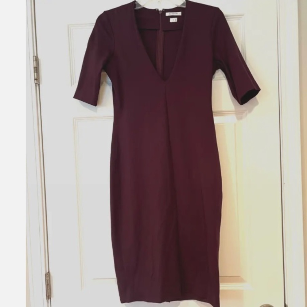 Babaton Aritzia Leon Dress